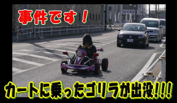 �J�[�g�ɏ�����S���������É��ɏo�v!!!