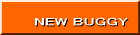NEW BUGGY